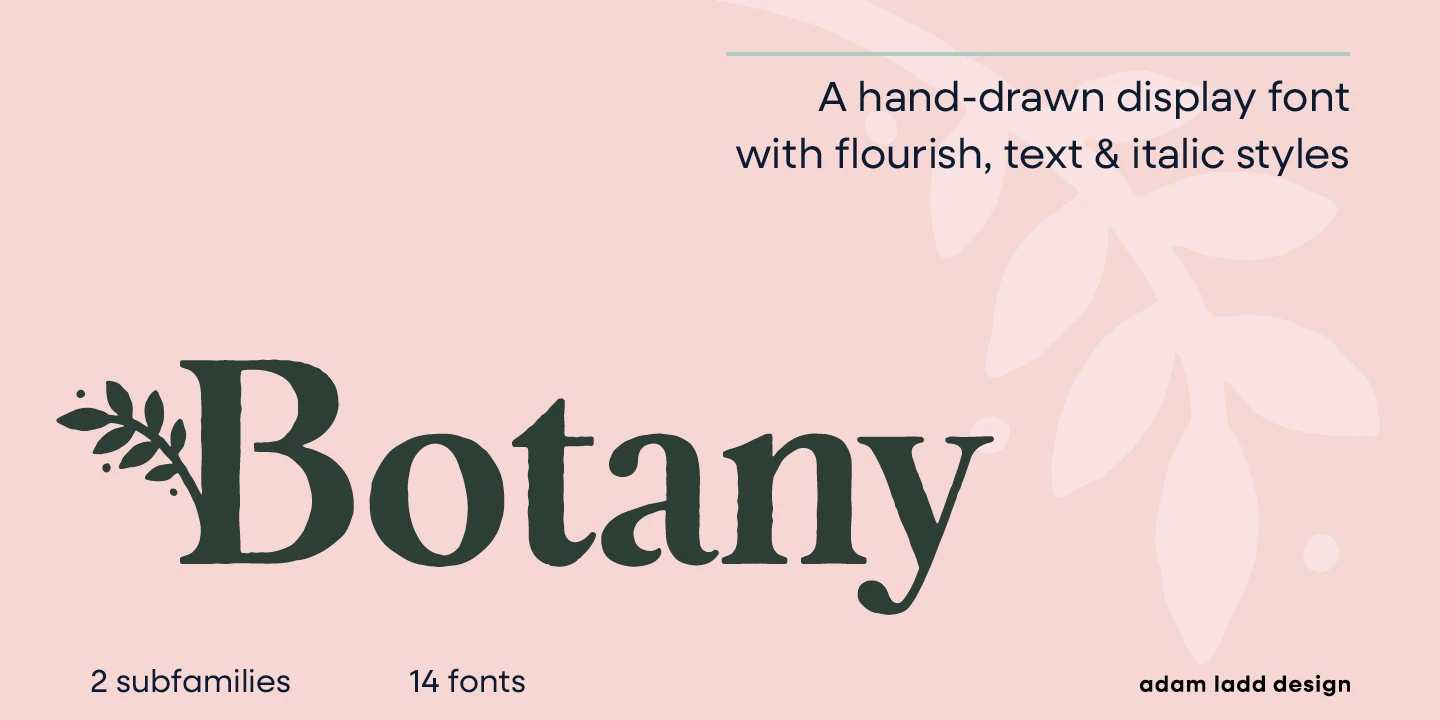 Botany font by Adam Ladd Design — the word “Botany” in a dark green serif font with a leafy branch icon to the left of the capital B, and the words “A hand-drawn display font with flourish, text & italic styles” in a smaller upright sans-serif font.