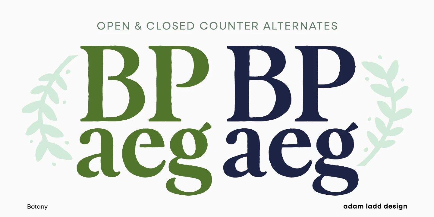 Botany font by Adam Ladd Design — the words “OPEN & CLOSED COUNTER ALTERNATES” above two pairs of serif letters “BP” and “aeg” in green and dark blue, flanked by light green leafy branches