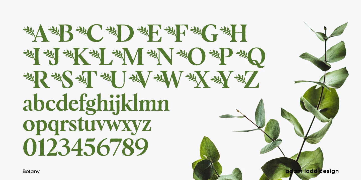 Botany font by Adam Ladd Design — the green upright serif alphabet A through Z with small leaf motifs, the lowercase alphabet a through z, and numerals 0 through 9, next to a branch with green leaves
