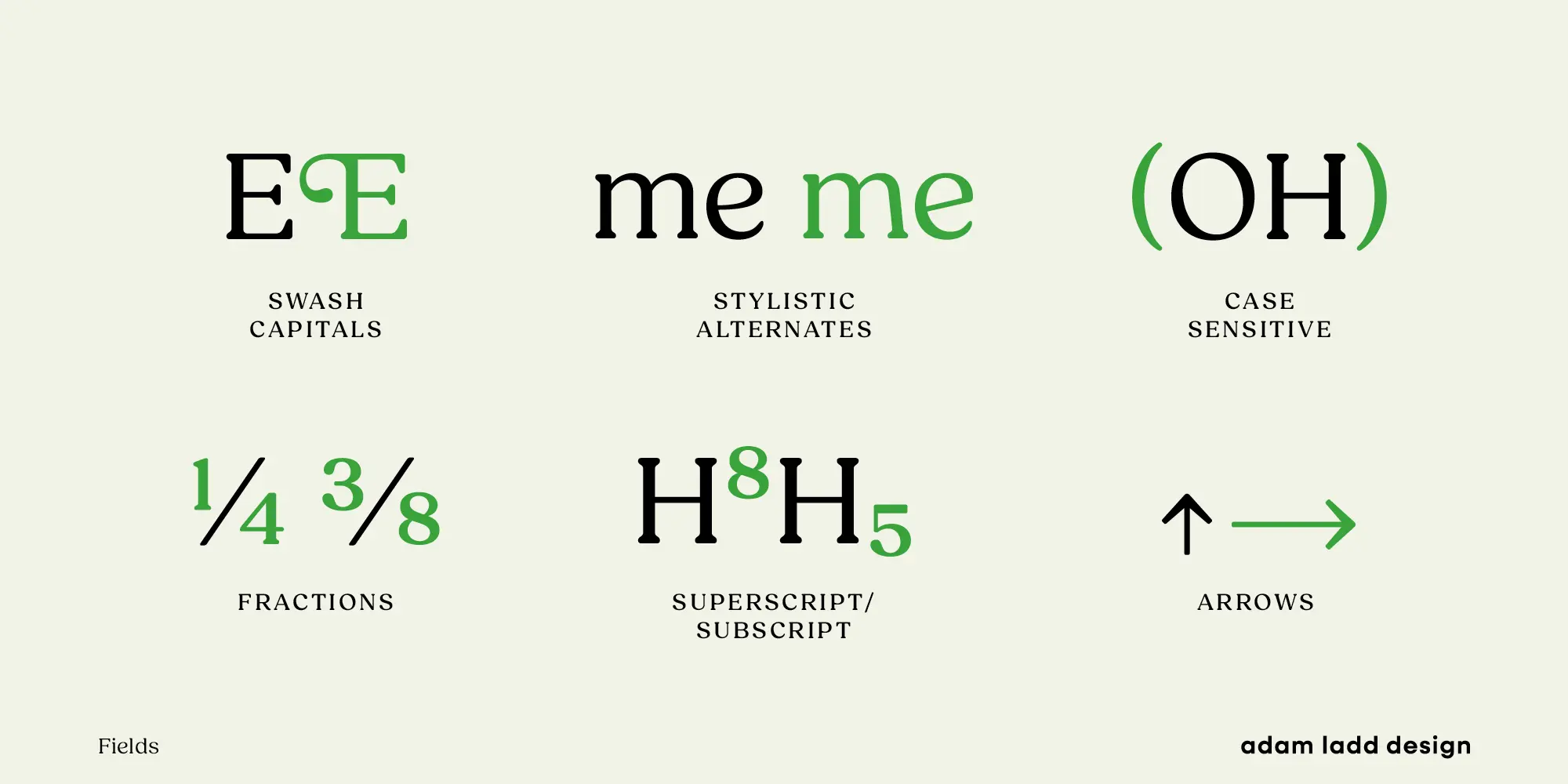 Fields font by Adam Ladd Design — a grid of six examples of serif letterforms and symbols, some in black and some in green, including swash capitals, stylistic alternates, case-sensitive forms, fractions, superscript/subscript, and arrows