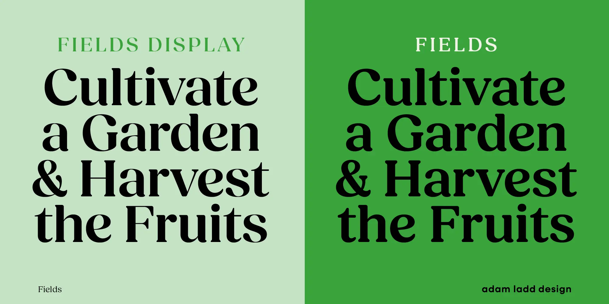 Fields font by Adam Ladd Design — the phrase “Cultivate a Garden & Harvest the Fruits” in a high-contrast serif typeface, shown in two variations on a split green background
