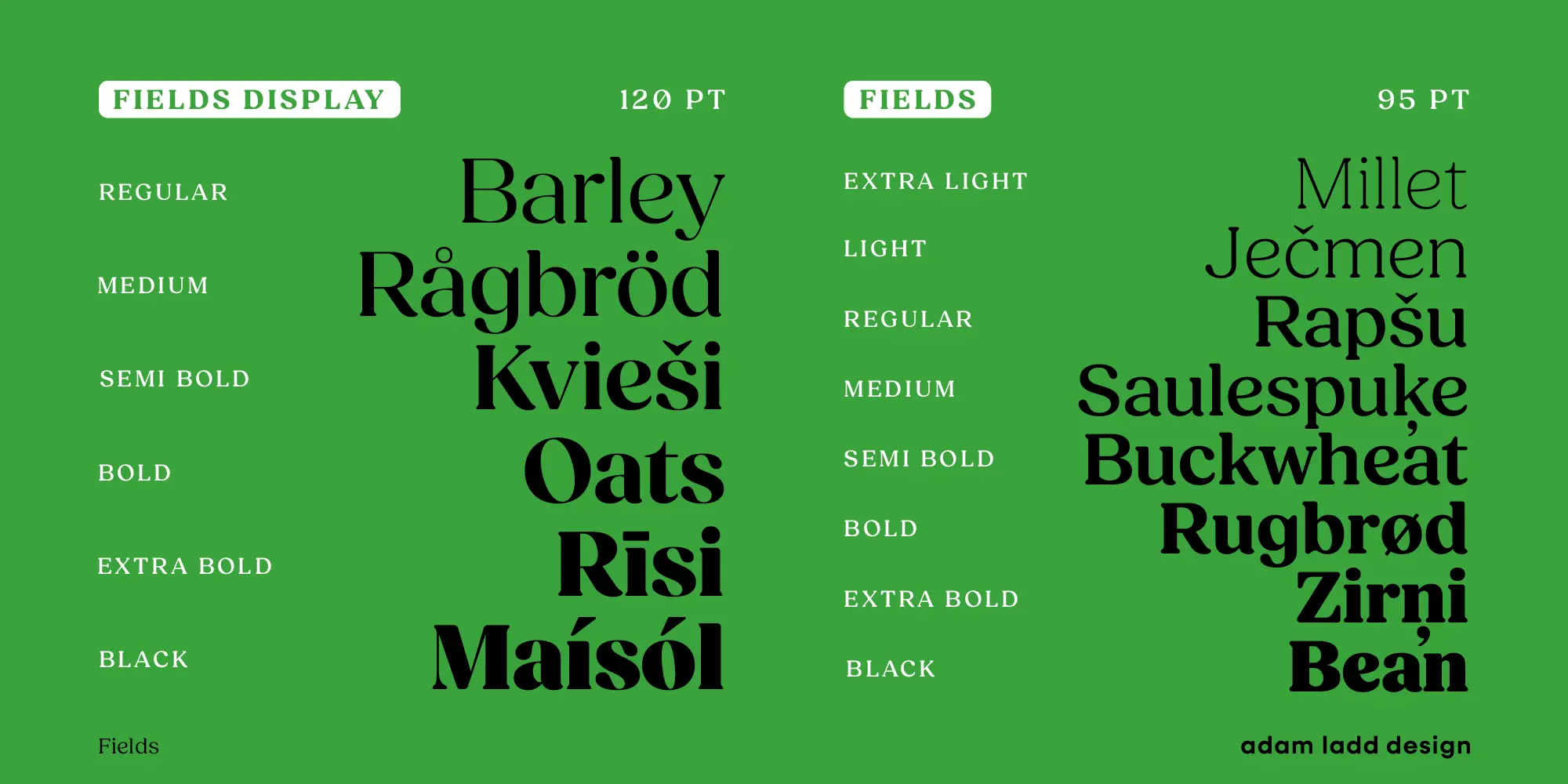 Fields font by Adam Ladd Design — the words FIELDS DISPLAY and FIELDS in white sans serif letters on green rectangles, with serif words like “Barley” and “Millet” in various weights below them