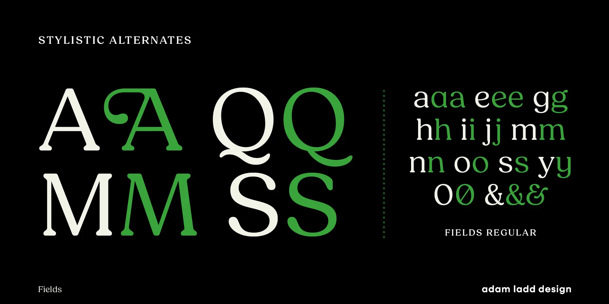 Fields font by Adam Ladd Design — the words “STYLISITC ALTERNATES” above large serif letters A, M, Q, and S, some with alternate forms in green, and to the right, smaller serif letters a, e, g, h, i, j, m, n, o, s, y, and ampersand, some with alternate forms in green, above the words “FIELDS REGULAR”