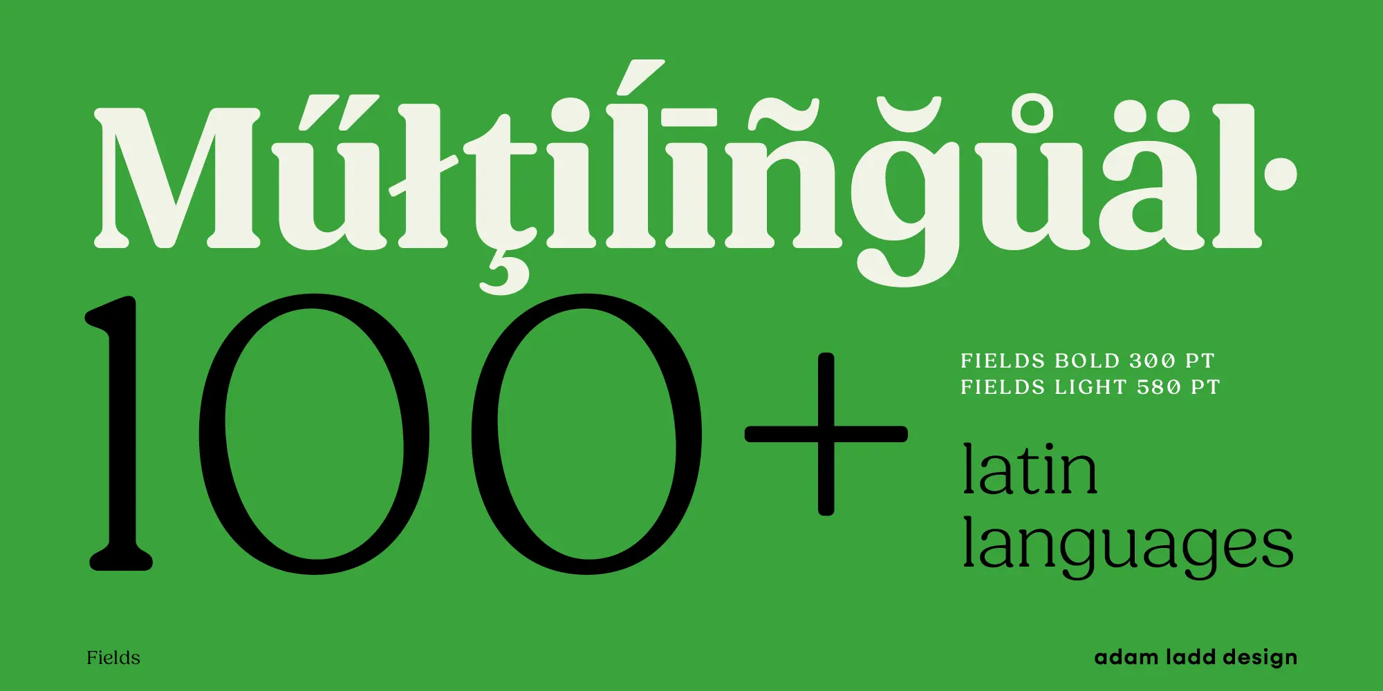Fields font by Adam Ladd Design — the word “Multilingual” in a bold serif, the numbers “100+” in a lighter serif, and the words “latin languages” in a light serif.