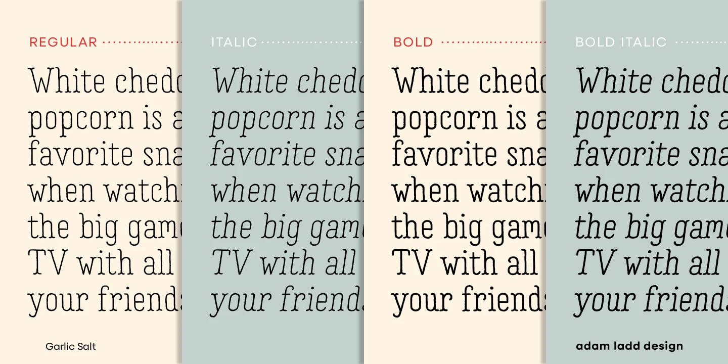 Garlic Salt font by Adam Ladd Design — four columns of serif text, two upright and two italic, with the words “REGULAR”, “ITALIC”, “BOLD”, and “BOLD ITALIC” above them.