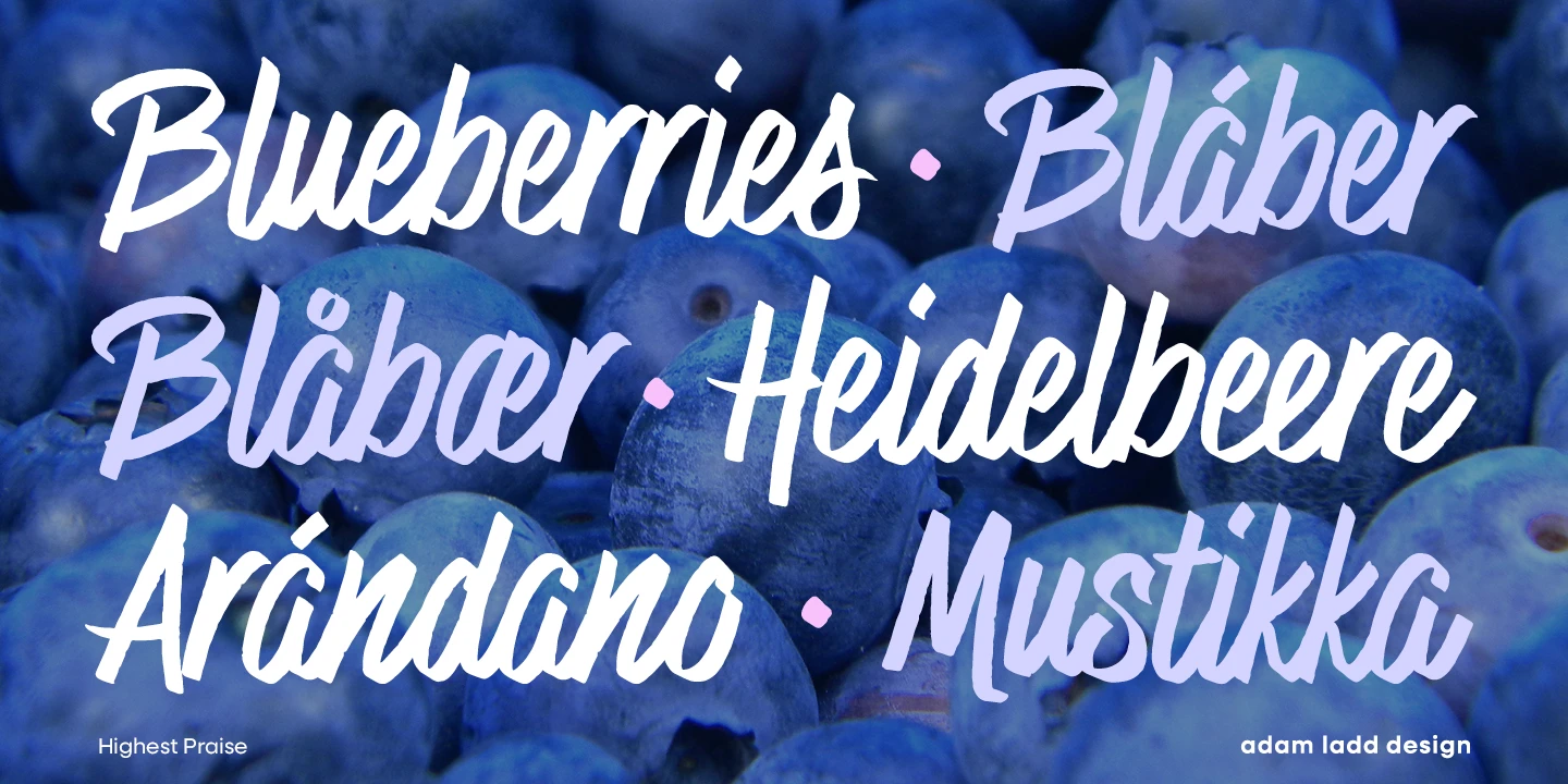 Highest Praise font by Adam Ladd Design — the words “Blueberries”, “Blåber”, “Blåbær”, “Heidelbeere”, “Arándano”, and “Mustikka” in a connected script, with pink dots separating some words