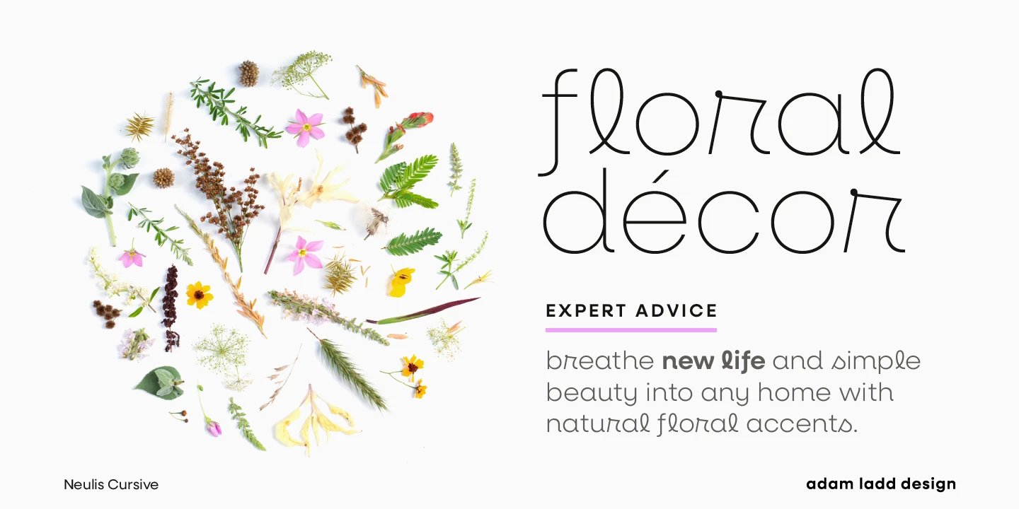 Neulis Cursive font by Adam Ladd Design — a collection of dried flowers and leaves arranged in a circle, with the words “floral décor” in a thin, upright, sans-serif script, and supporting text below it.