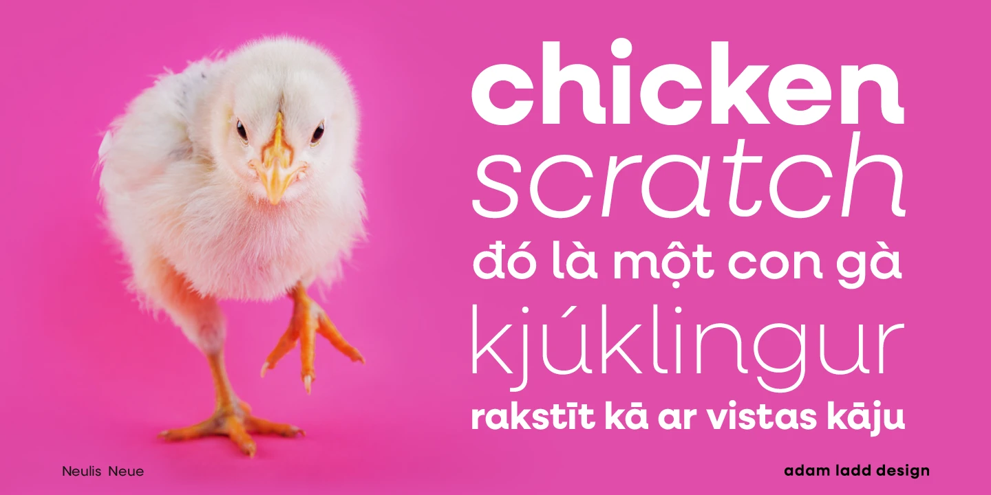 Neulis Neue font by Adam Ladd Design — a fluffy yellow chick on a magenta background, with the words “chicken scratch” and other phrases in a sans serif font.