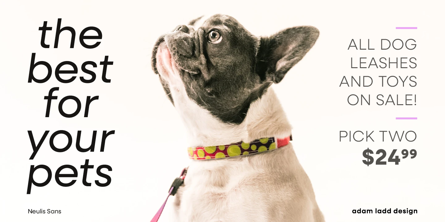 Neulis Sans font by Adam Ladd Design — a French bulldog wearing a colorful collar, with the words “the best for your pets” in large upright sans serif letters and “ALL DOG LEASHES AND TOYS ON SALE! PICK TWO $24.99” in smaller sans serif letters.