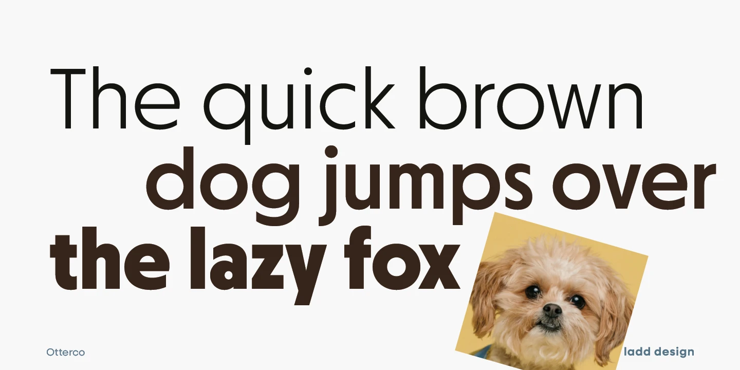 Otterco font by Adam Ladd Design — the words “The quick brown” in black sans-serif, “dog jumps over the lazy fox” in brown sans-serif, and a photo of a small dog on a yellow background.