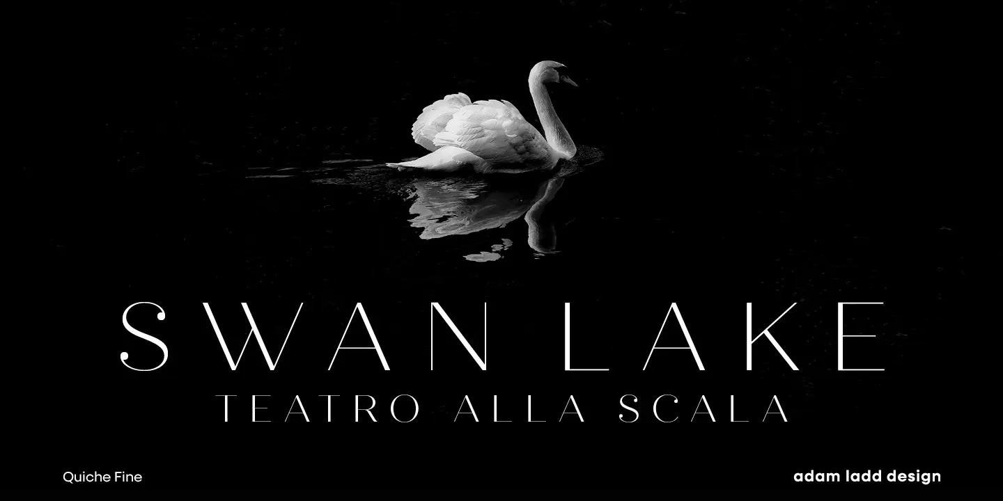 Quiche font by Adam Ladd Design — a white swan on dark water above the words “SWAN LAKE” in high-contrast sans-serif capitals and “TEATRO ALLA SCALA” in smaller capitals