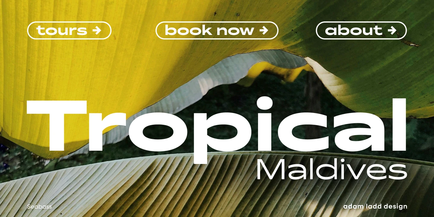 Seabass font by Adam Ladd Design — the word “Tropical” in large white sans serif letters, with “Maldives” below it in smaller, lighter sans serif letters, and three rounded buttons at the top reading “tours ”, “book now ”, and “about ” with right arrows.