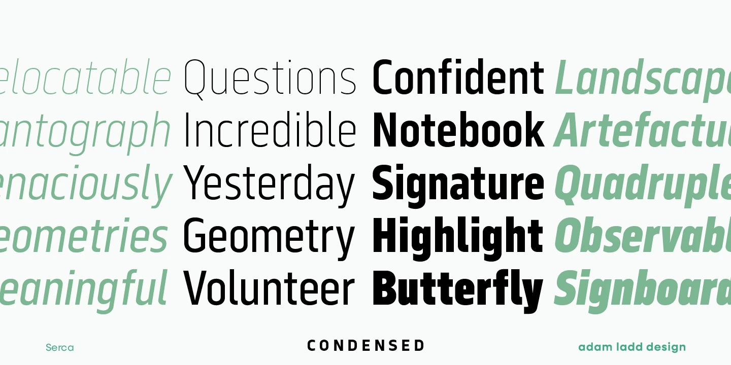 Serca font by Adam Ladd Design — a grid of sans serif words in three columns, showing light italic, light upright, bold upright, and bold italic styles in black and green.