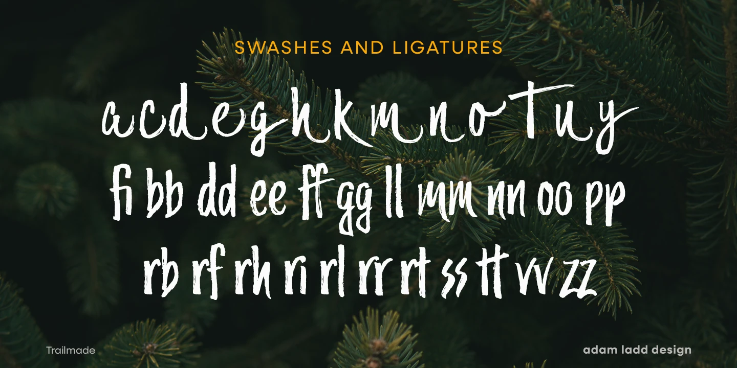 Trailmade font by Adam Ladd Design — the words “SWASHES AND LIGATURES” above a display of lowercase letters and ligatures in a brush script style.