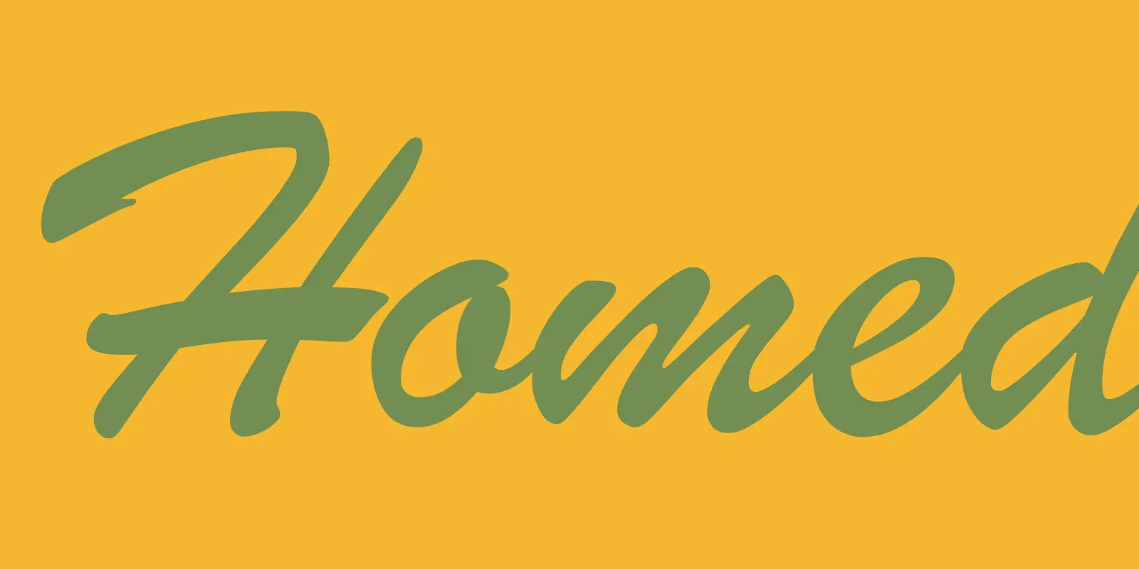 Brush font by American Type Founders Collection — two columns of connected script text, one labeled “ATF Brush Black” and the other “ATF Brush Bold”, each showing sample words and a character set including uppercase, lowercase, numbers, and symbols