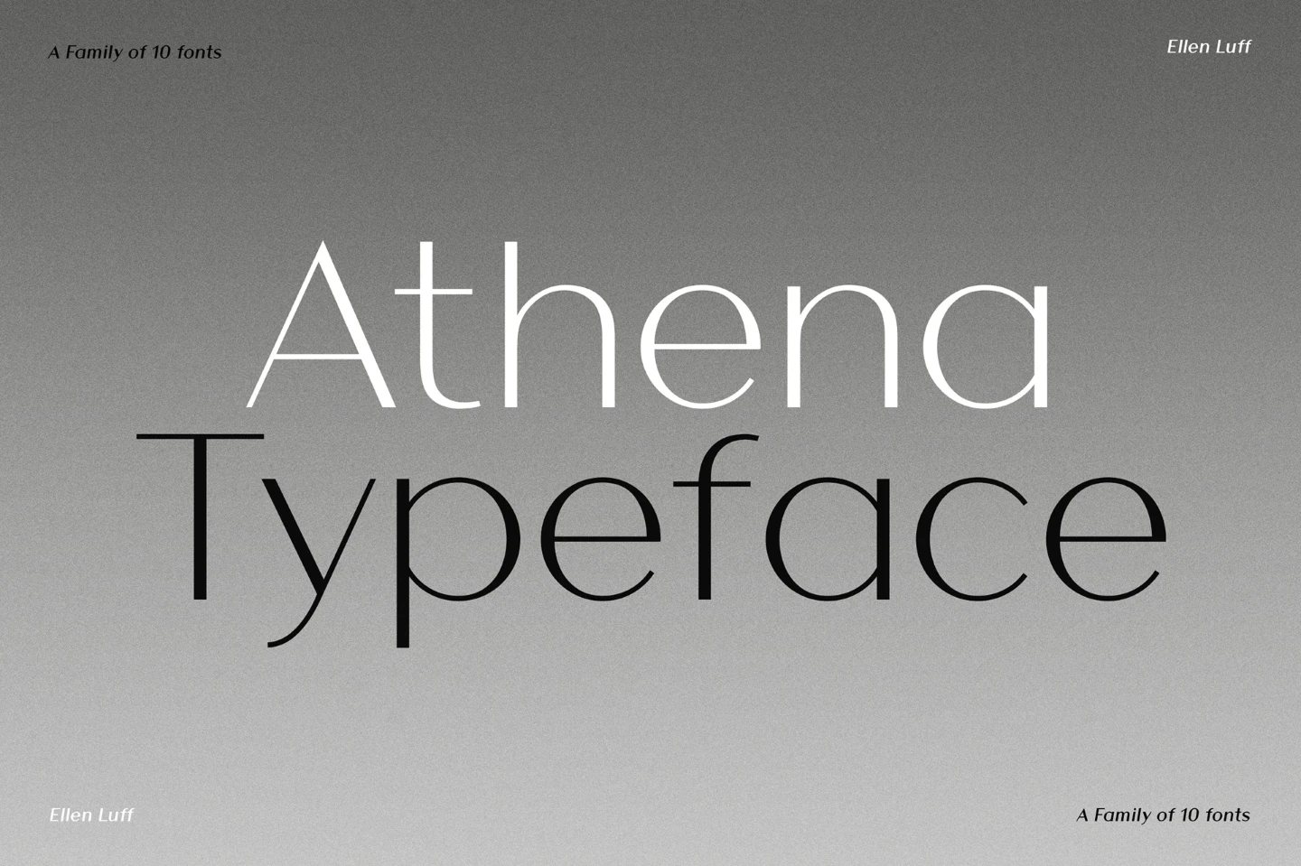 Athena Specimen
