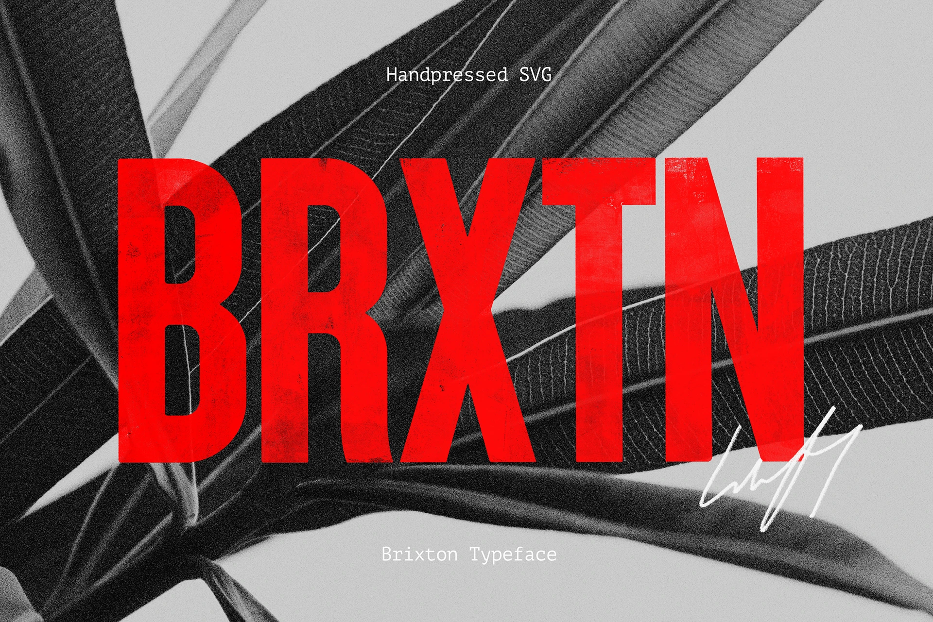Brixton Font Family