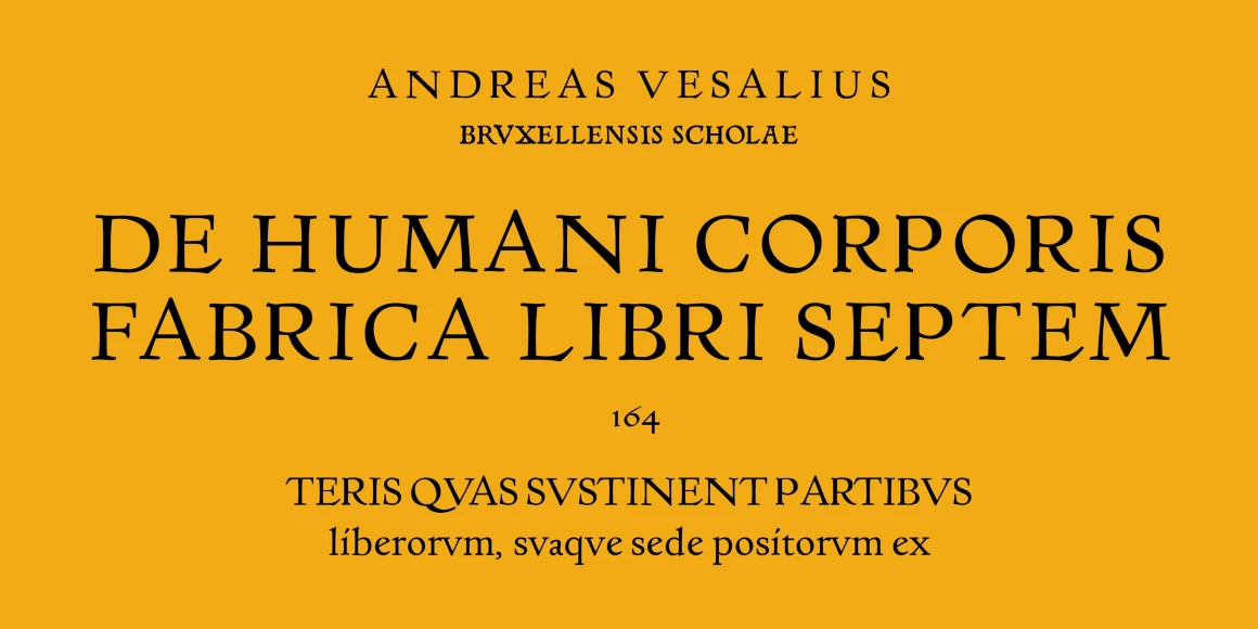 Basel Roman font by P22 Type Foundry — the Latin text ANDREAS VESALIUS, BRVXELLENSIS SCHOLAE, DE HUMANI CORPORIS, FABRICA LIBRI SEPTEM, 164, TERIS QVAS SVSTINENT PARTIBVS, and liberorvm, svaqve sede positorvm ex in a classic serif typeface on a solid yellow background