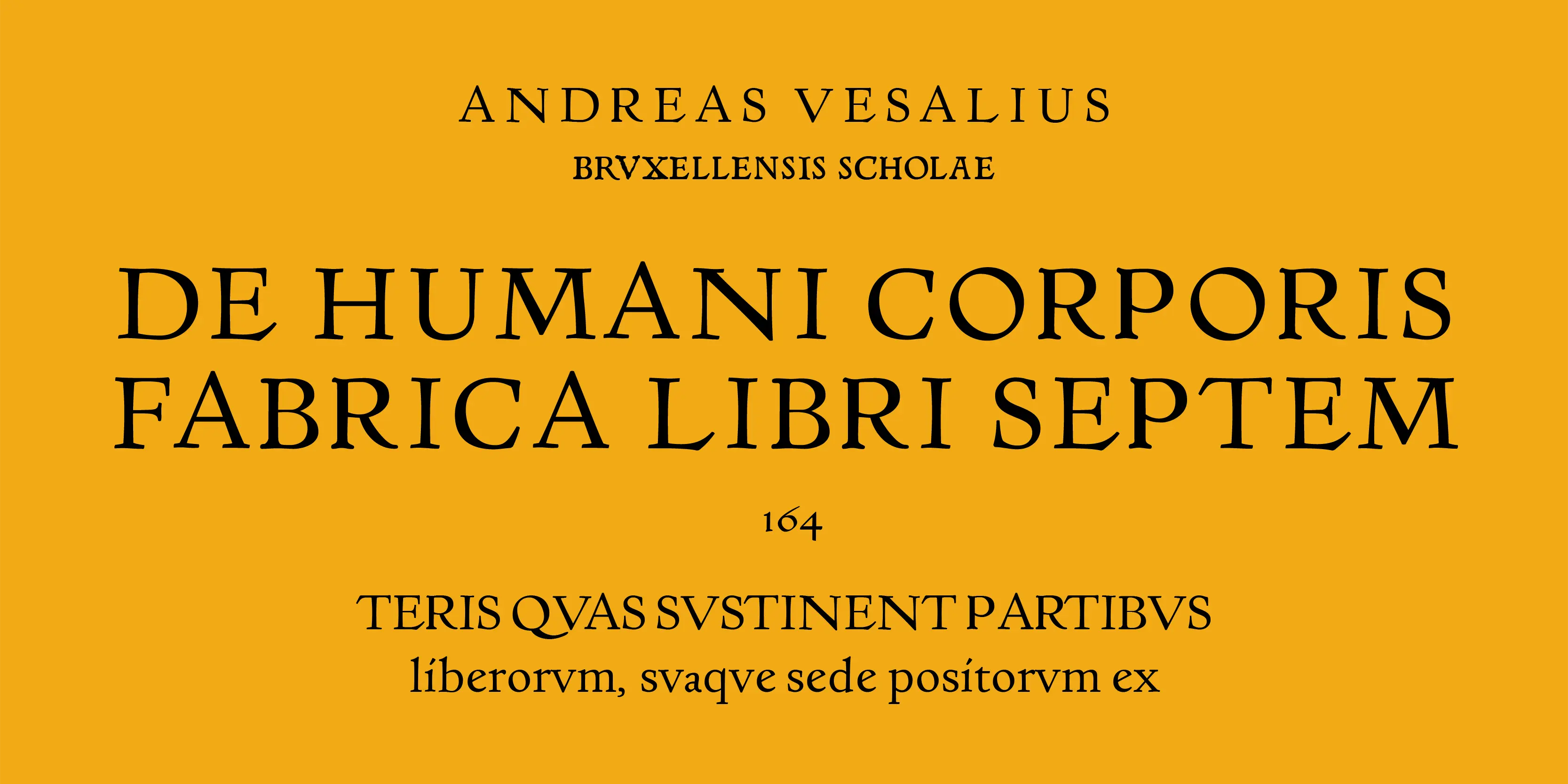 Basel Roman font by P22 Type Foundry — the Latin text ANDREAS VESALIUS, BRVXELLENSIS SCHOLAE, DE HUMANI CORPORIS, FABRICA LIBRI SEPTEM, 164, TERIS QVAS SVSTINENT PARTIBVS, and liberorvm, svaqve sede positorvm ex in a classic serif typeface on a solid yellow background