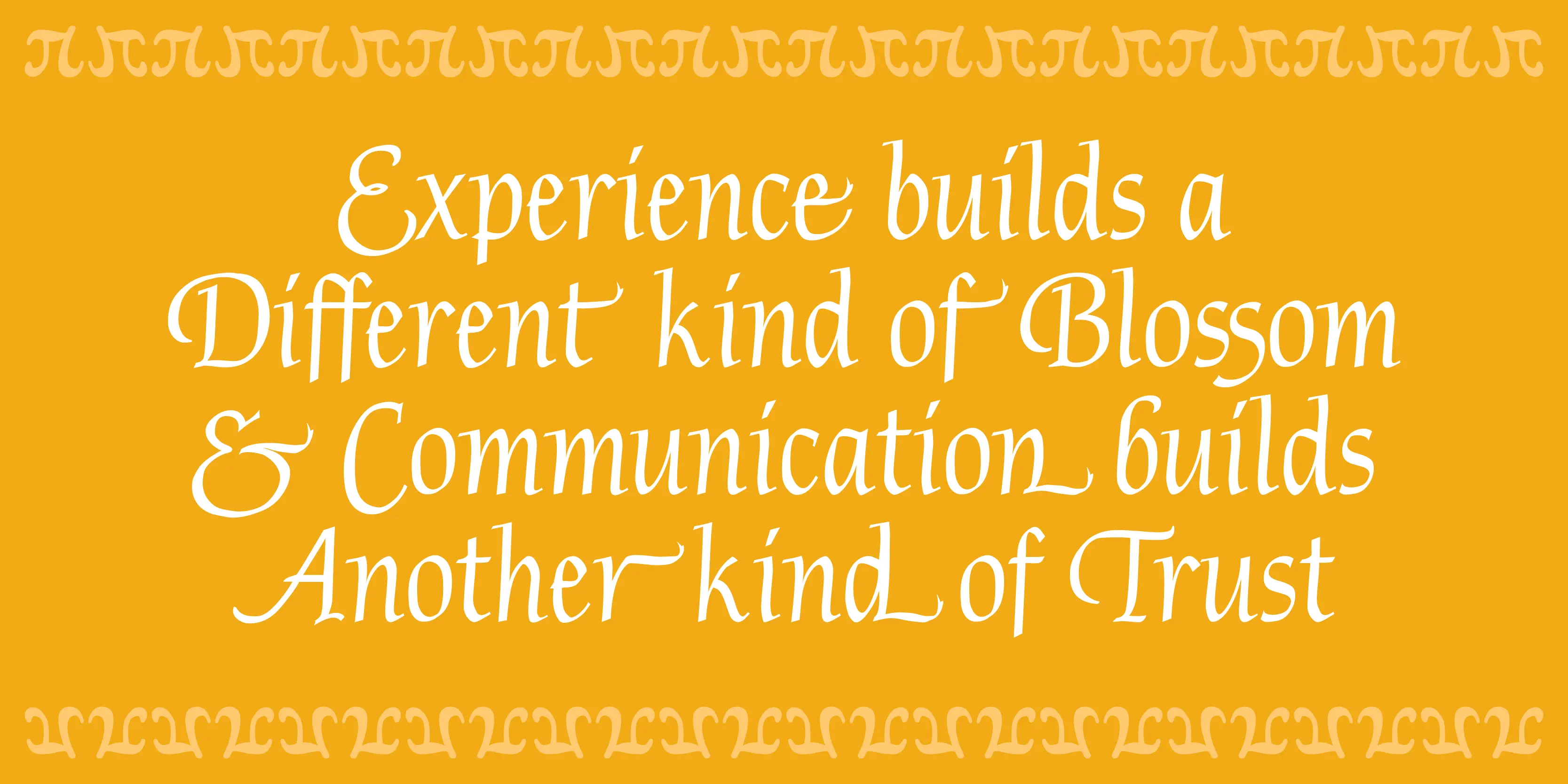 Plymouth font by P22 Type Foundry — the words Experience builds a Different kind of Blossom & Communication builds Another kind of Trust in a white calligraphic script with swashes, set against a yellow background with decorative borders at the top and bottom borders
