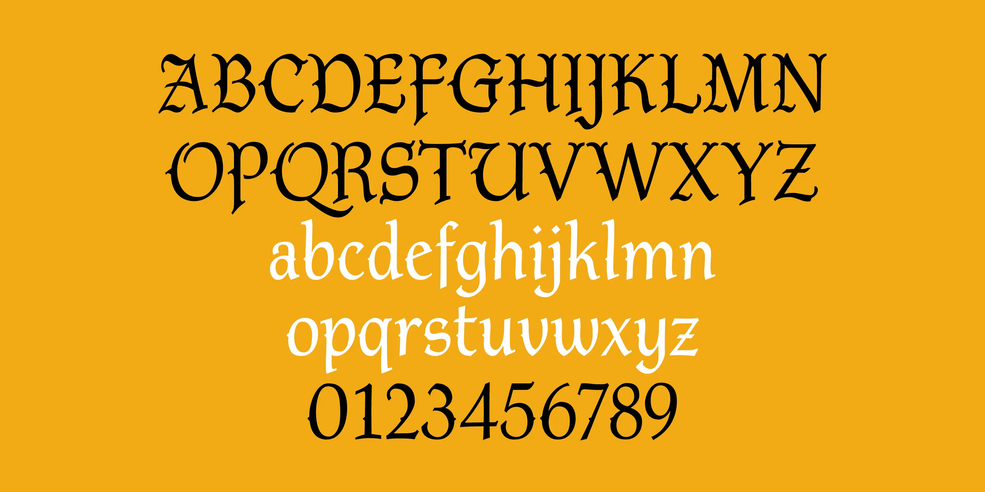 Ridley font by P22 Type Foundry — the uppercase alphabet in black, the lowercase alphabet in white, and the numerals 0 through 9 in black, all set in a decorative medieval typeface on a solid yellow background