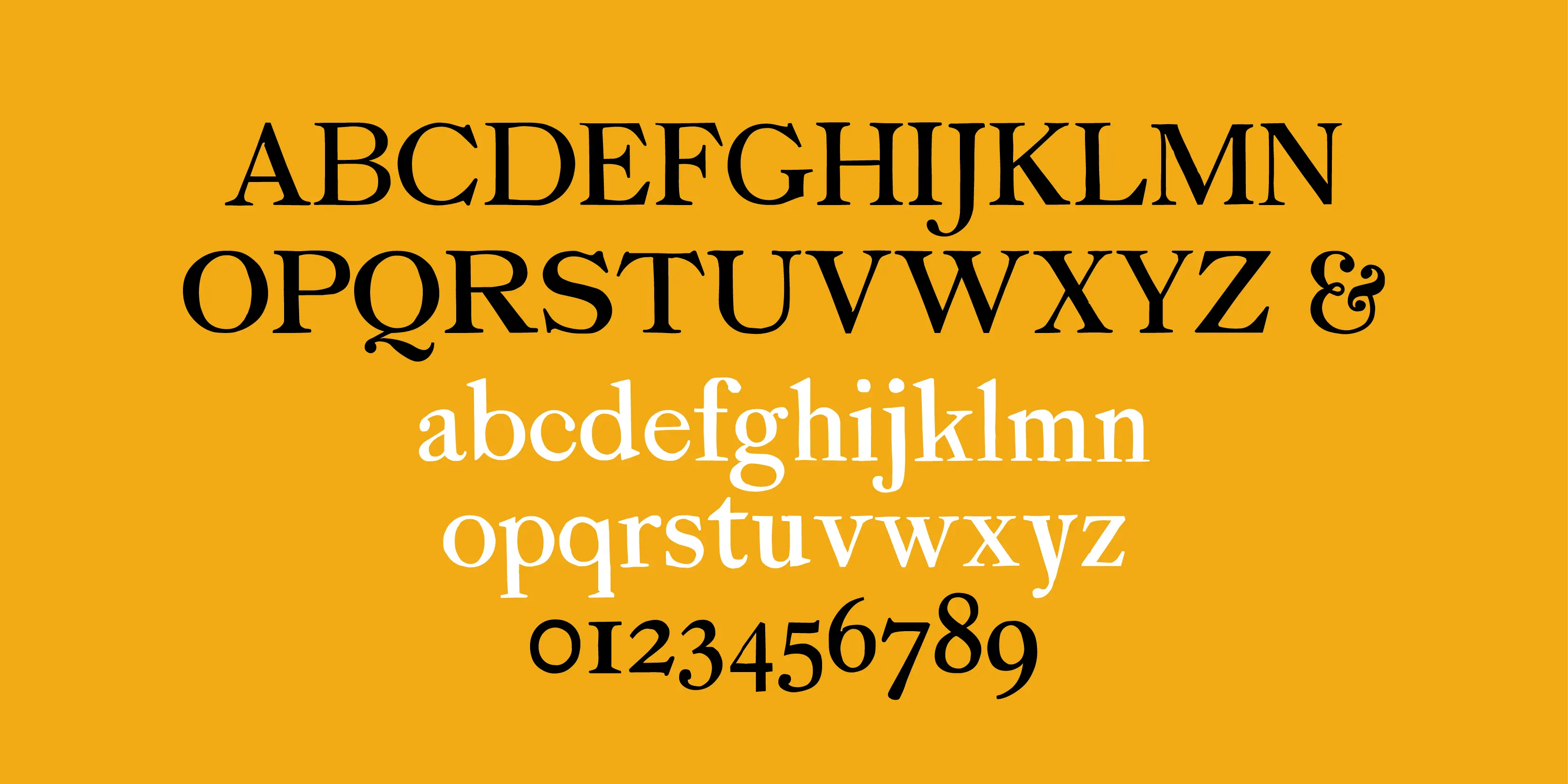Sherwood font by P22 Type Foundry — the uppercase alphabet in black serif letters, followed by the lowercase alphabet in white serif letters, and the numbers 0 through 9 in black serif numerals, all centered on a solid yellow background