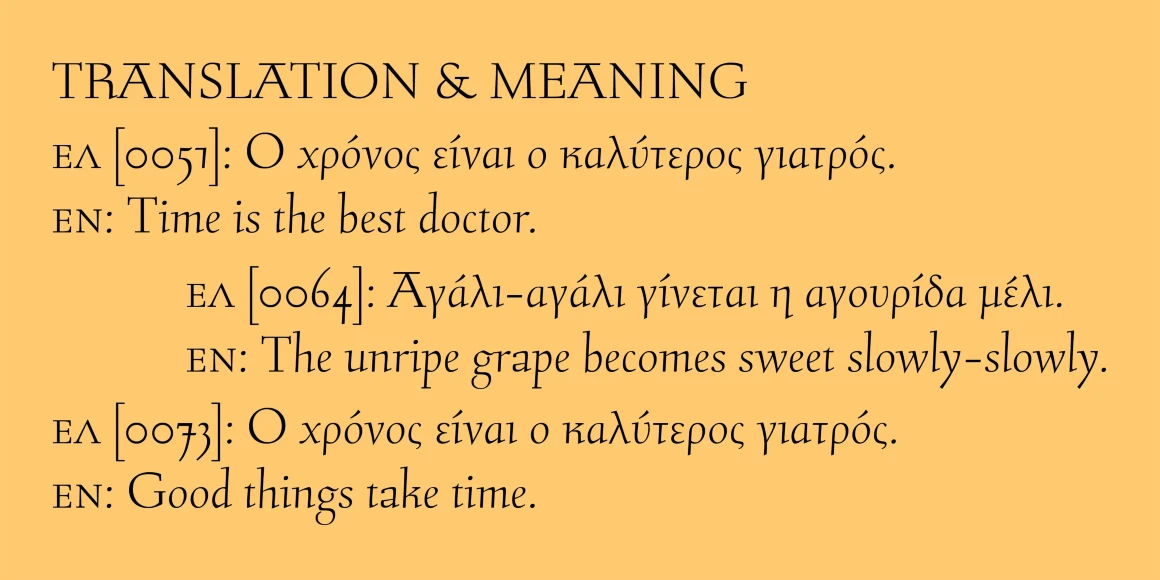 Stern font by P22 Type Foundry — the words TRANSLATION & MEANING in a serif typeface above Greek and English phrases on a light orange background