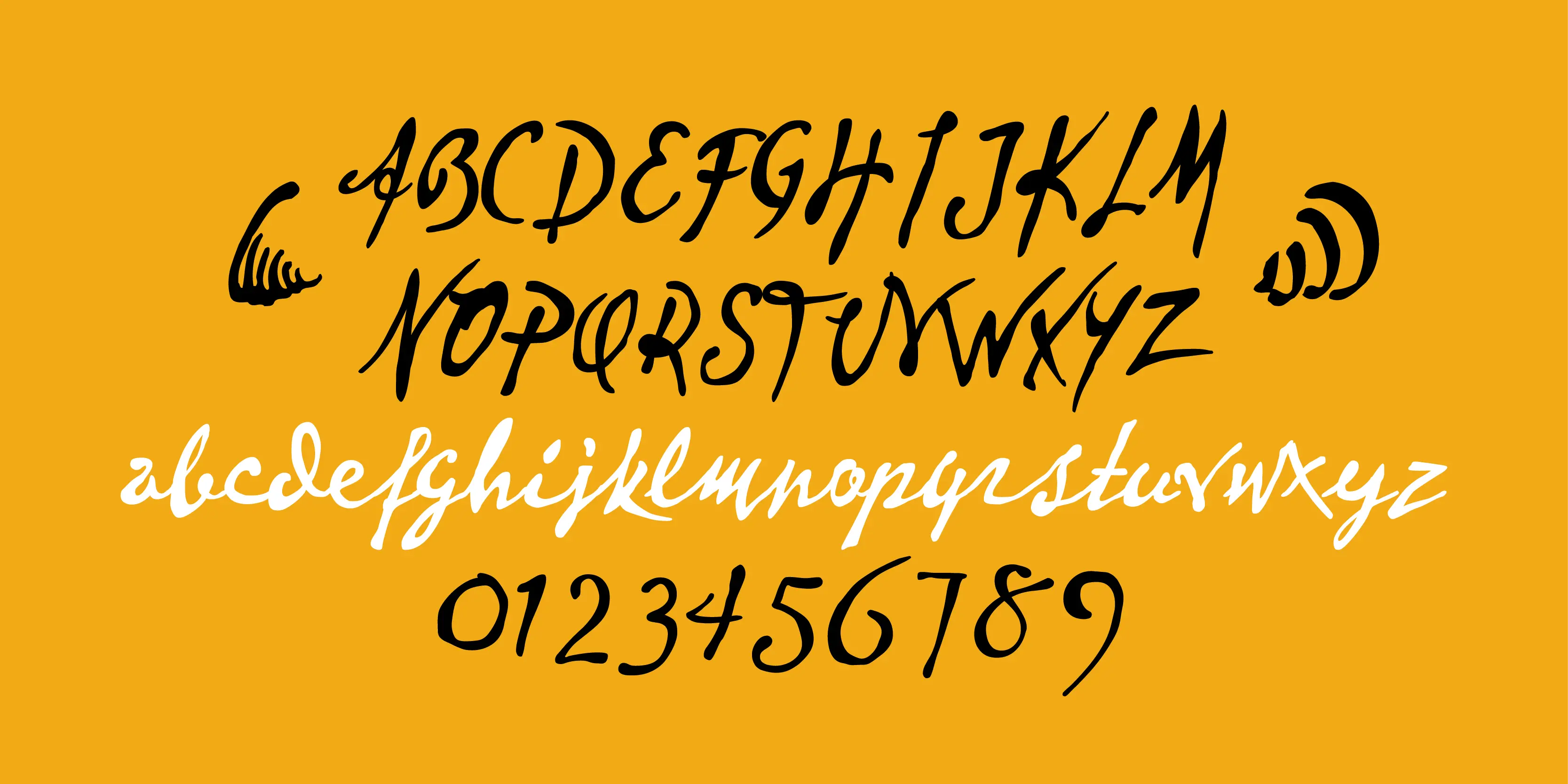 Vincent font by P22 Type Foundry — the uppercase alphabet in black, the lowercase alphabet in white, and the numbers 0 through 9 in black, all written in a loose, expressive brush script on a yellow background