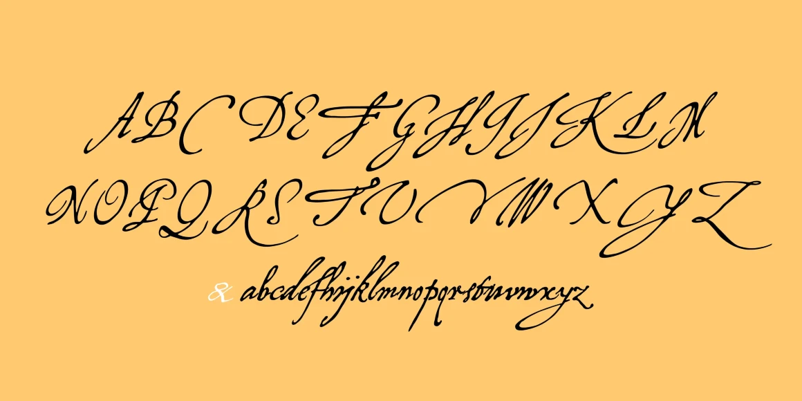Virginian font by P22 Type Foundry — the uppercase and lowercase Latin alphabets in an elegant, flowing cursive script on a light orange background, warm yellow background, warm yellow background, warm yellow background, warm yellow background