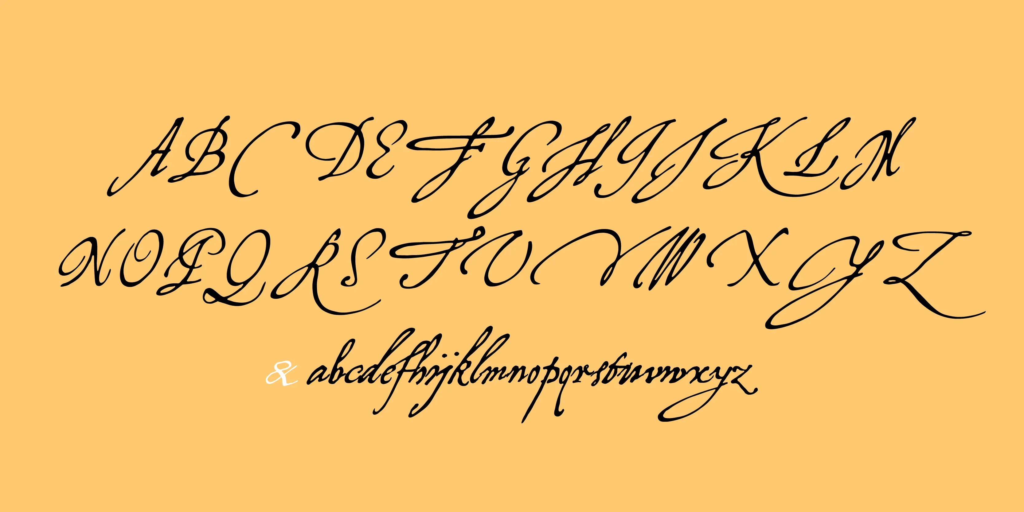 Virginian font by P22 Type Foundry — the uppercase and lowercase Latin alphabets in an elegant, flowing cursive script on a light orange background, warm yellow background, warm yellow background, warm yellow background, warm yellow background
