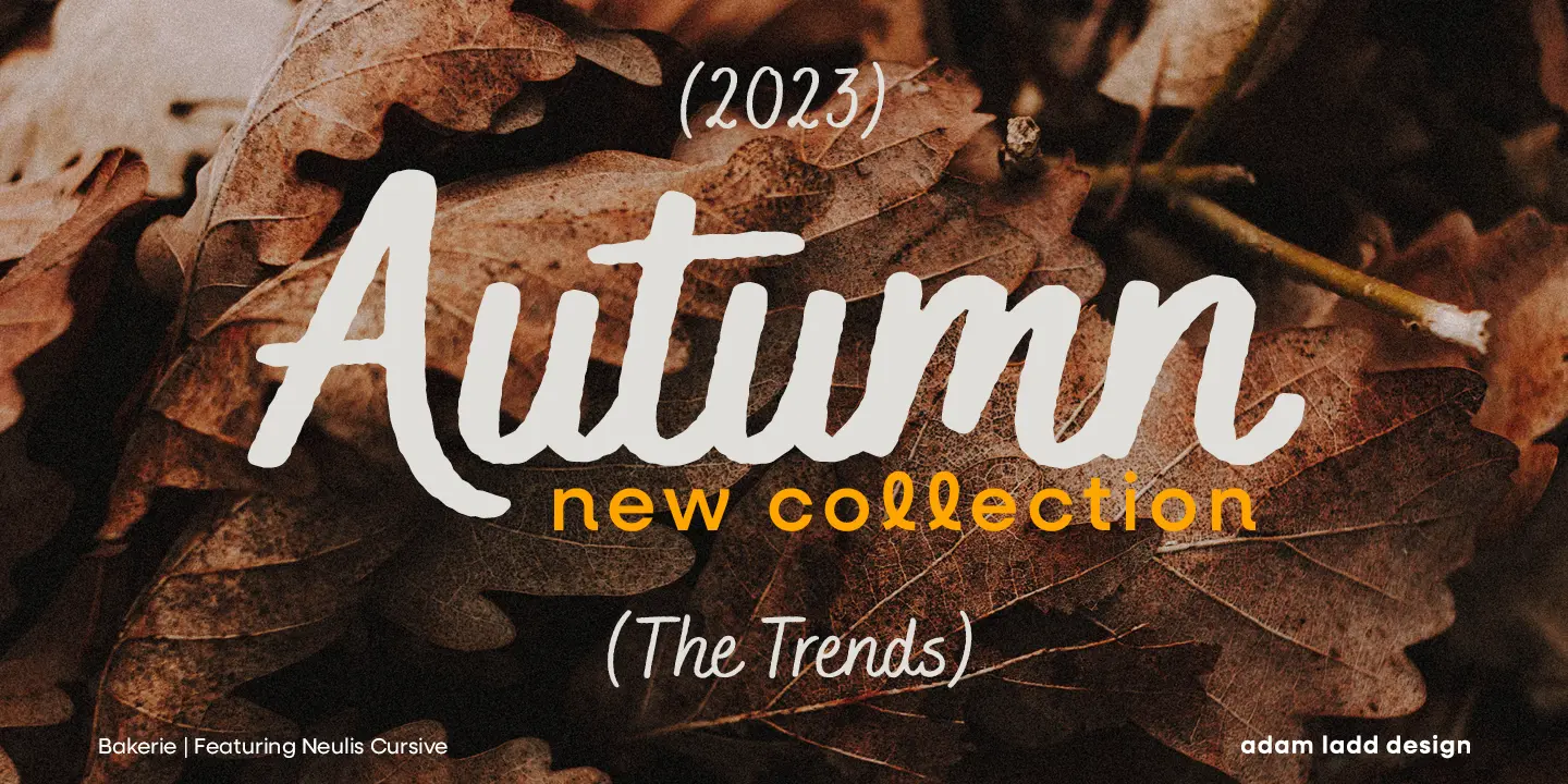 Bakerie font by Adam Ladd Design — the word “Autumn” in a large, connected script, with “new collection” below it in a smaller sans-serif, and "(2023)" and "(The Trends)" in a smaller script above and below, all against a background of fallen leaves.