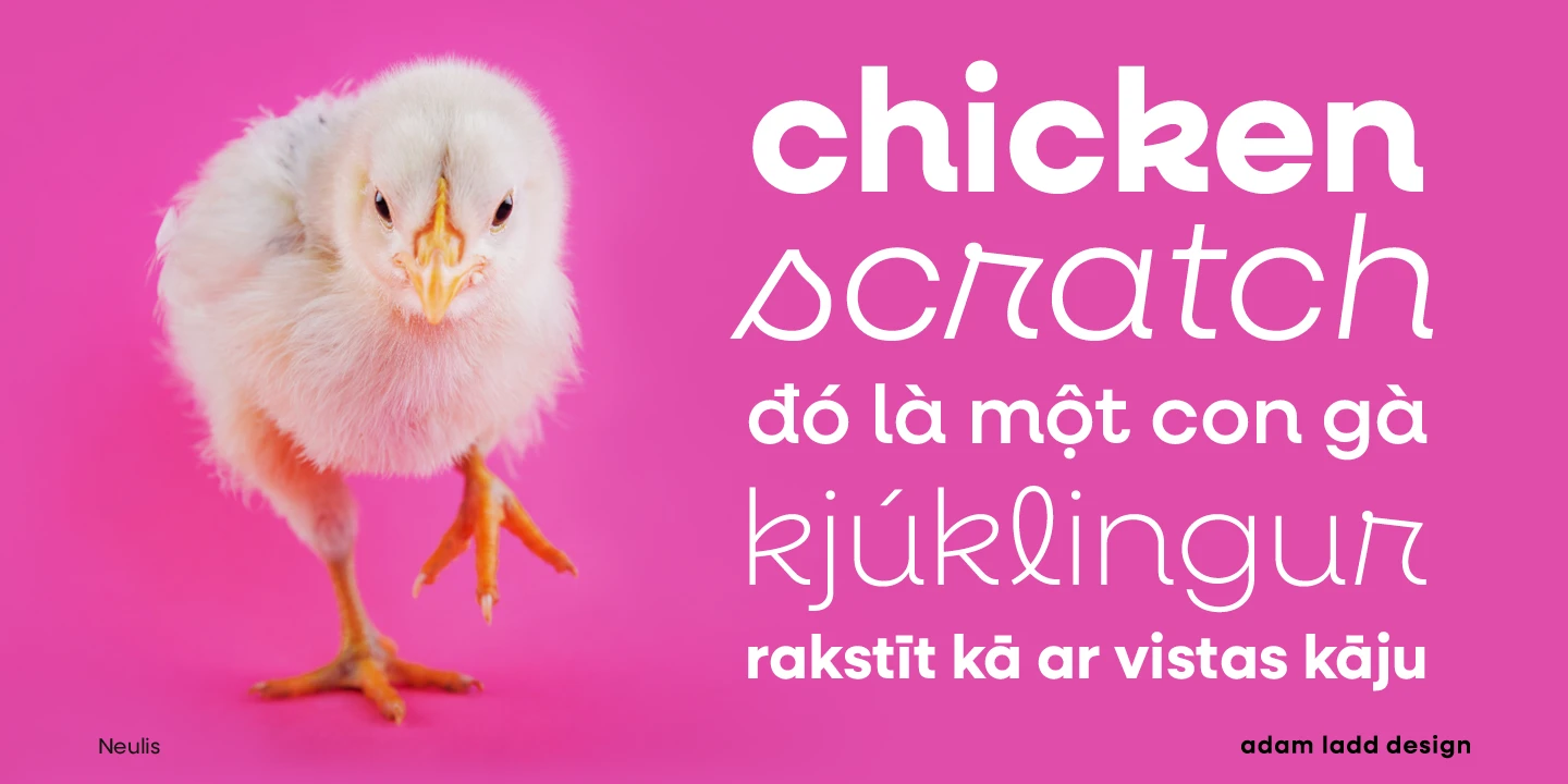 Neulis font by Adam Ladd Design — a fluffy yellow chick on a pink background, with the words “chicken scratch” and other phrases in various sans-serif and script-like styles.