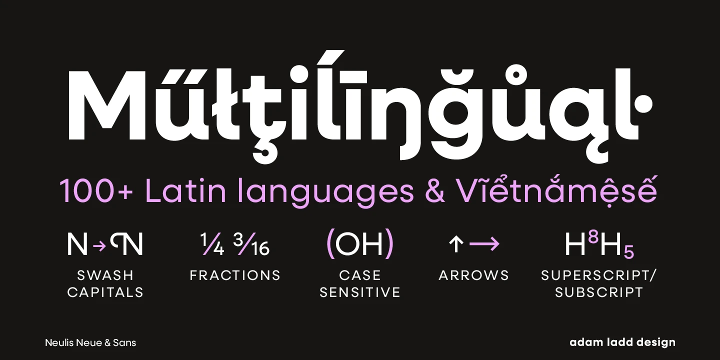 Neulis font by Adam Ladd Design — the word “Multilingual” in a large sans serif, with “100+ Latin languages & Vietnamese” below it, and five icons with labels for features like swash capitals and fractions.