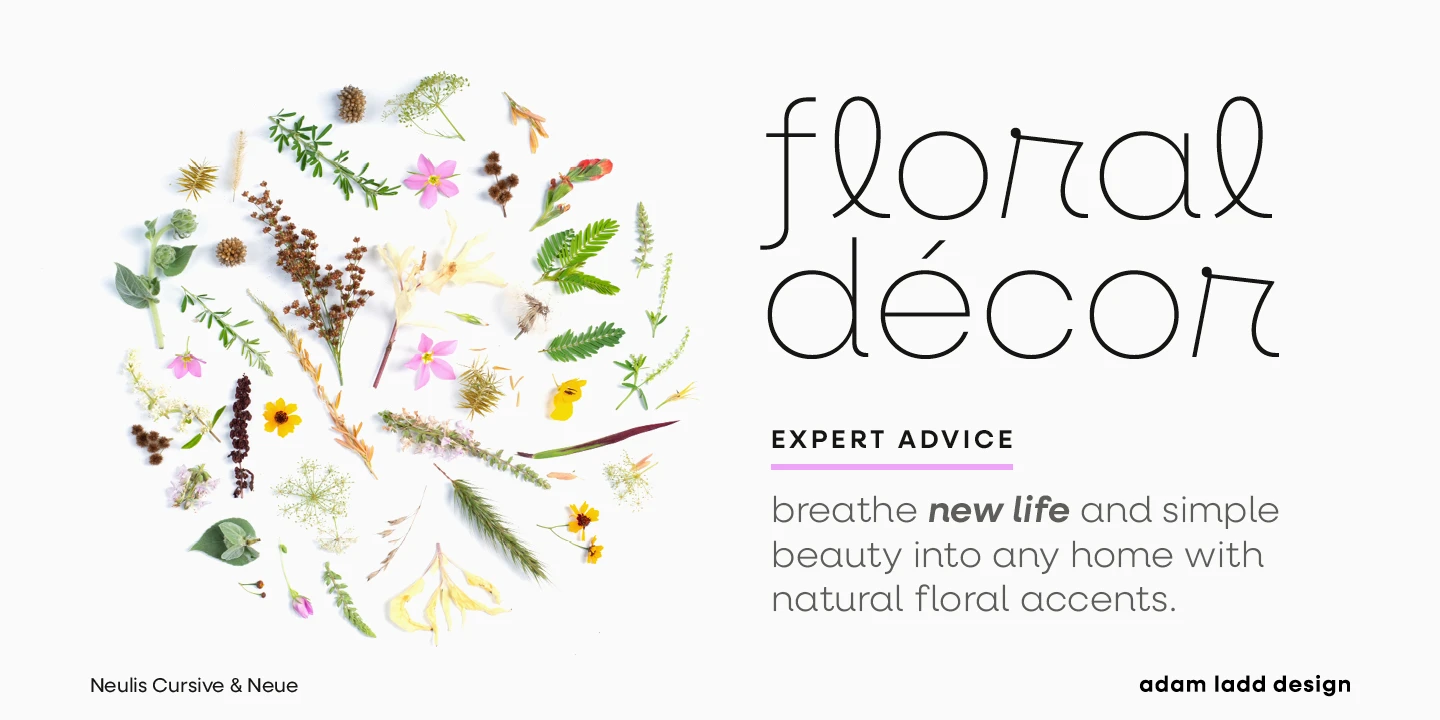 Neulis font by Adam Ladd Design — the words “floral décor” in a thin, rounded sans serif, with a circular arrangement of various flowers and leaves to the left.