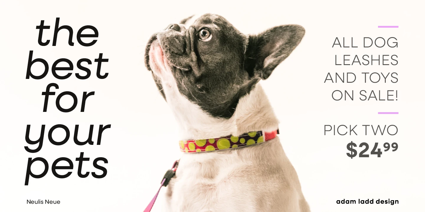 Neulis font by Adam Ladd Design — a French bulldog wearing a polka-dot collar, with the words “the best for your pets” in large italic sans serif letters and “ALL DOG LEASHES AND TOYS ON SALE! PICK TWO $24.99” in smaller upright sans serif letters
