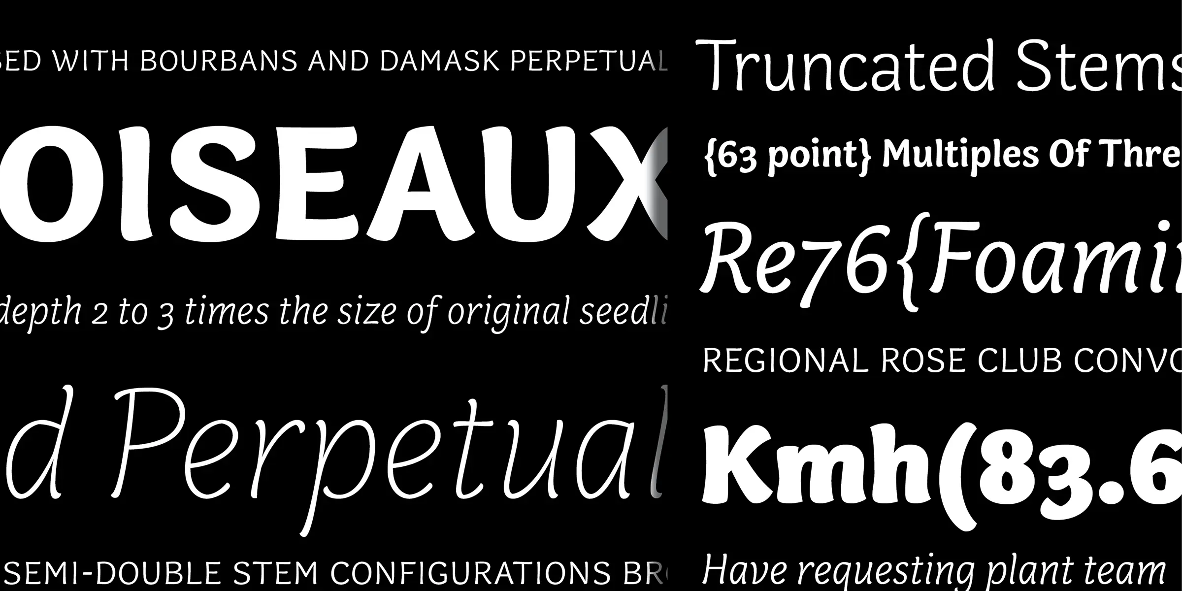 Capucine font by Process Type Foundry — the word “OISEAUX” in a bold, rounded sans-serif, with other words and phrases in upright and italic sans-serif styles, including “Truncated Stems” and “Multiples Of Three”