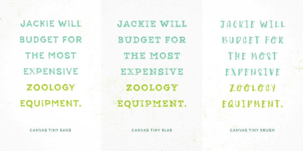 Canvas Icons font by Yellow Design Studio — the pangram JACKIE WILL BUDGET FOR THE MOST EXPENSIVE ZOOLOGY EQUIPMENT. repeated in three columns, showing textured sans, slab, and brush lettering styles
