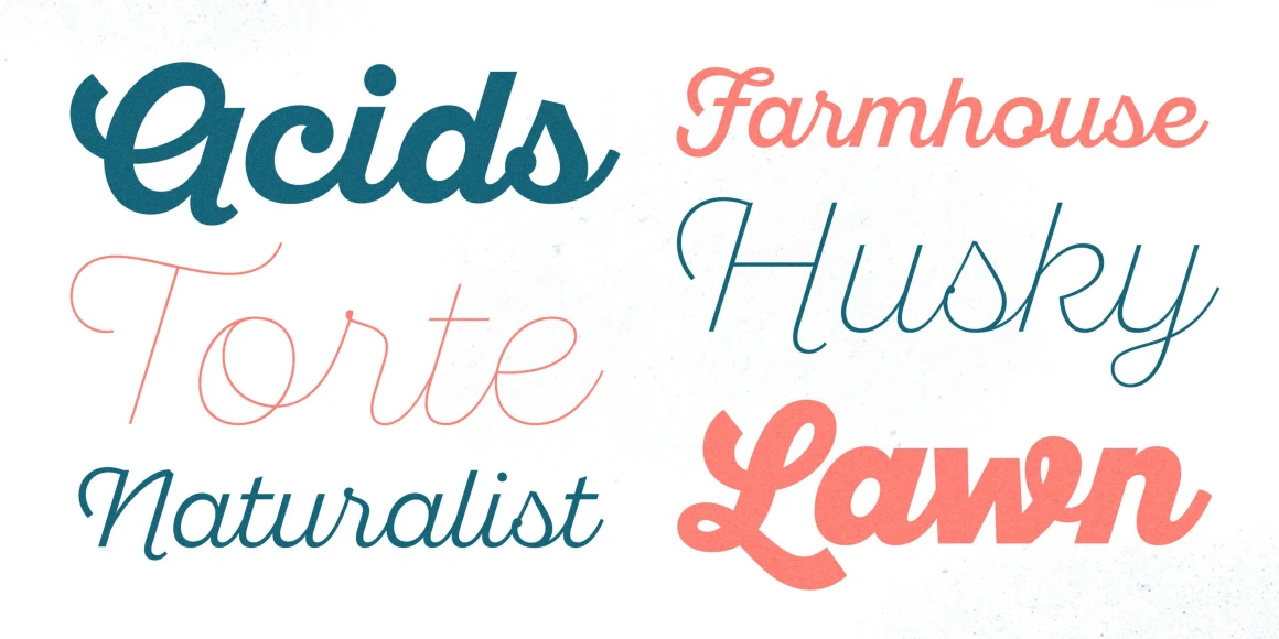 Sant'Elia Script font by Yellow Design Studio — the words Acids, Farmhouse, Torte, Husky, Naturalist, and Lawn in various weights of a textured, slanted script typeface in teal and coral on a light background