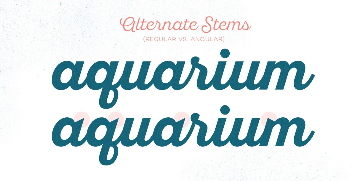 Sant'Elia Script font by Yellow Design Studio — the words Alternate Stems in pink script, (REGULAR VS. ANGULAR) in pink sans-serif capitals, and the word aquarium stacked twice in a textured teal script, with pink circles highlighting the angular letter connections on the bottom word